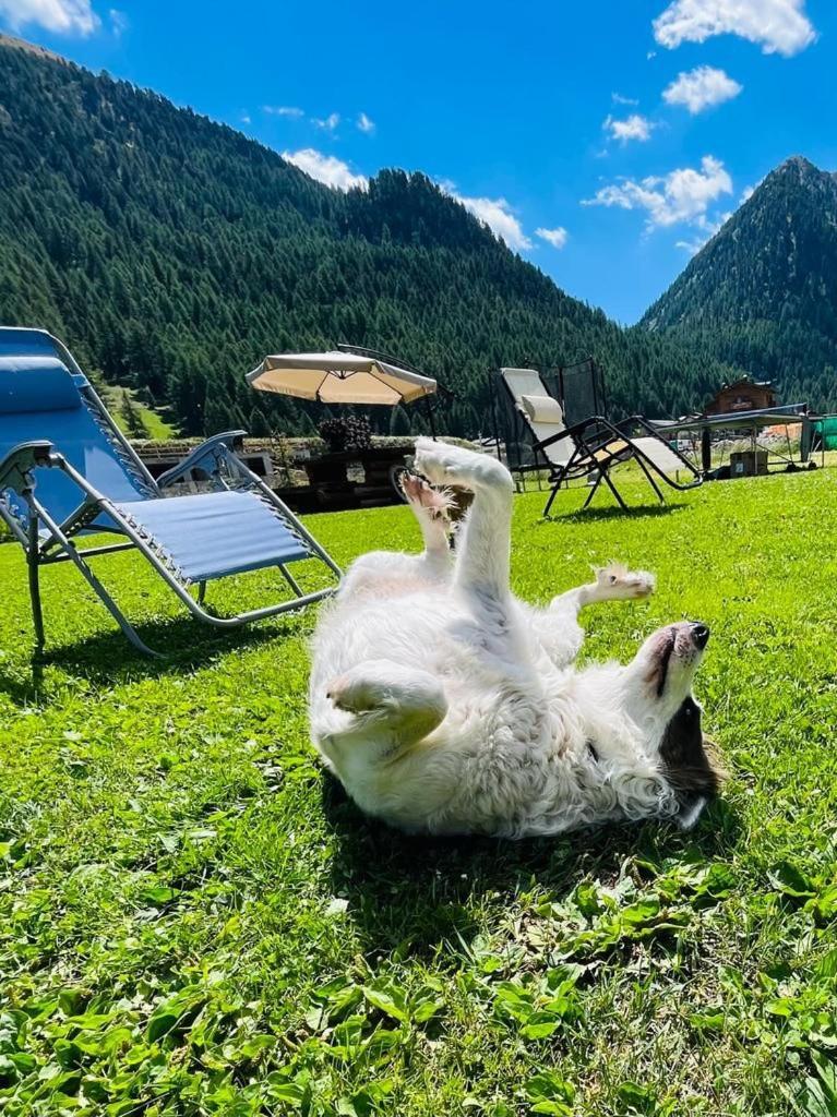Chalet Sunshine Ливиньо Екстериор снимка